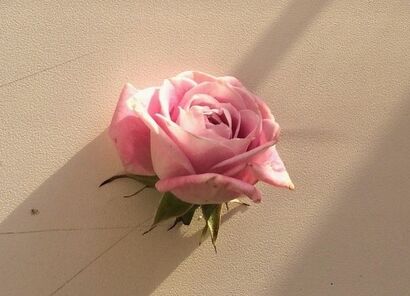 Vignette de l'acutalité saint valentin